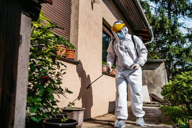 Best Wasp Removal Services  in Sedona, AZ