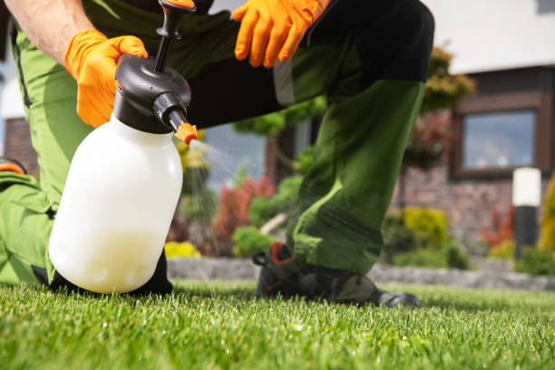 Best Termite Control Services  in Sedona, AZ